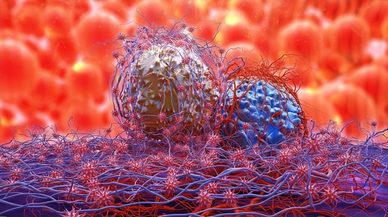 鸡肉哪个部位是癌症的克星,鸡肉抗癌