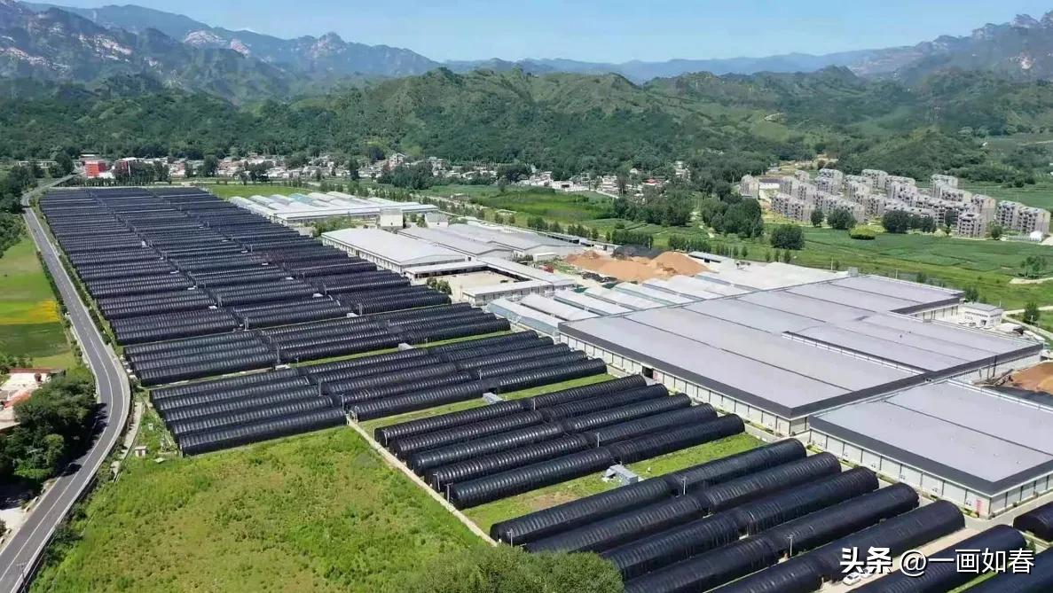 李湛冰｜魔棒惊太行