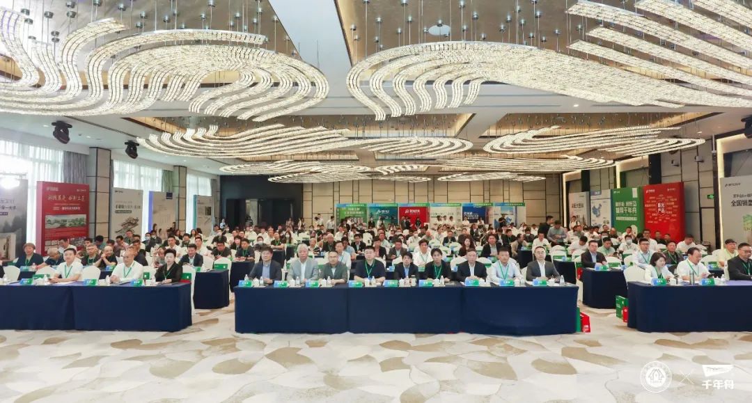 千年舟荣耀亚运,千年舟赞助亚运会