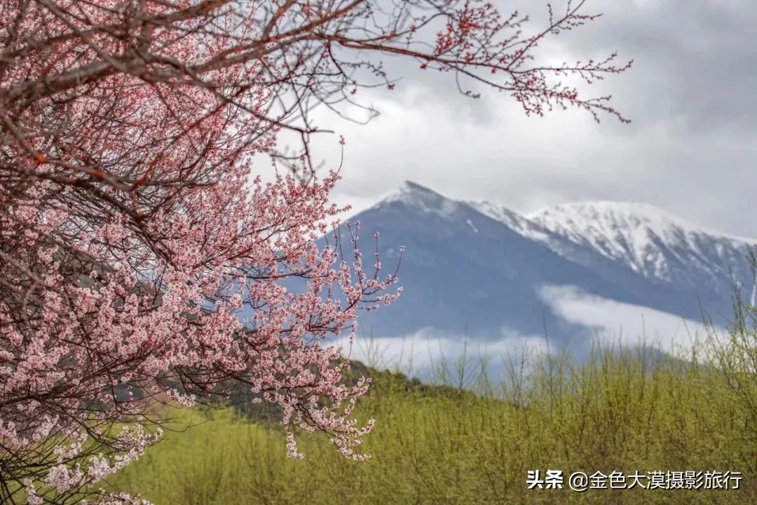 3月份去西藏林芝,3-4月去西藏林芝好玩吗