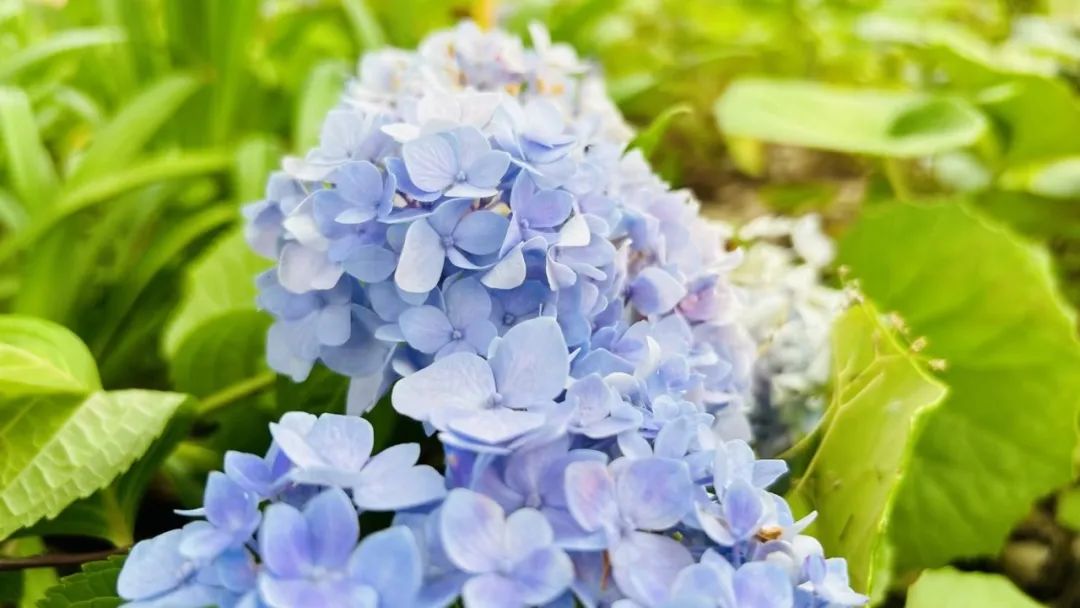 一个男人爱不爱你从细节看得出来,从吃饭看出男人对你爱不爱的表现