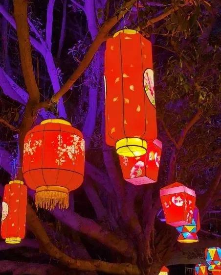 双流人的年味儿，从这些地方飘出来了