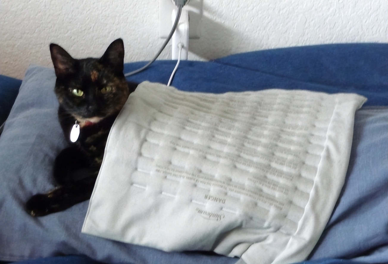 窗户关紧了就有呼呼的风声怎么办,冬天窗户漏风怎么最省钱保暖