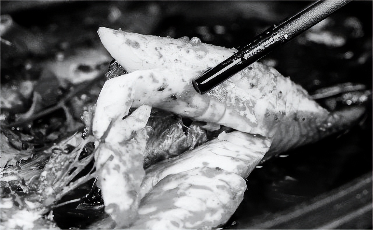 濒临失传的原生态语言,濒临消失的方言词语