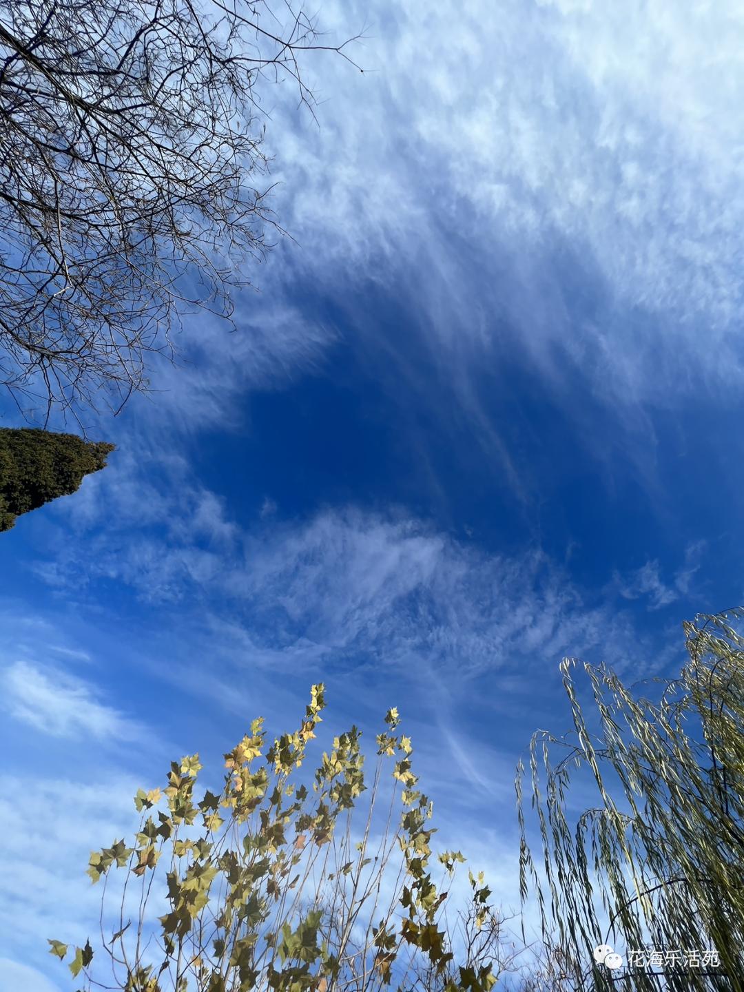 看足球赛日记200字,看世界杯足球比赛作文