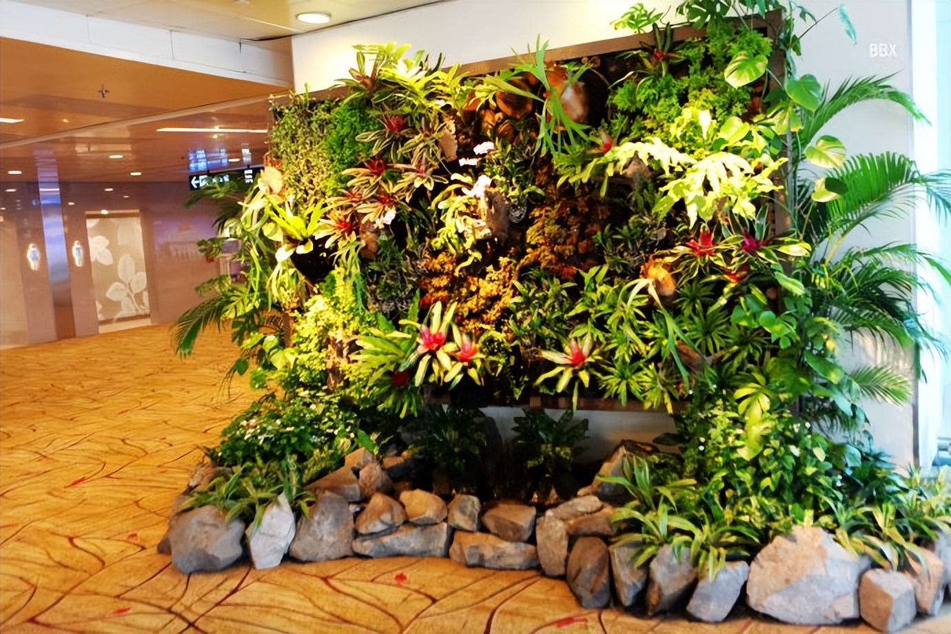 新加坡樟宜机场的仙人掌花园,新加坡最美机场在哪个航站楼