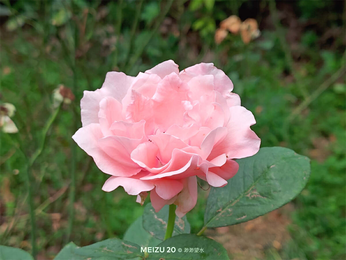 魅族20独白测评体验，来自魅友的10问，到底值不值得入手？