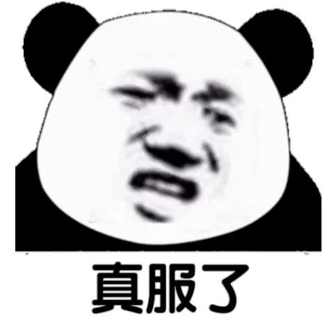 熊猫贴在墙上表情,震惊熊猫表情素材