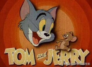 《猫和老鼠》其实不是儿童动画片而是成人片