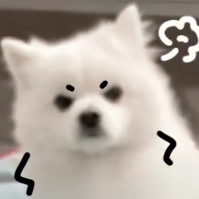 双非悉尼大学被拒,澳洲悉尼大学真实感受