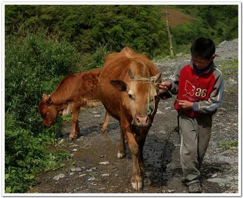 孤独的等待完整版,孤独的等待撕心裂肺