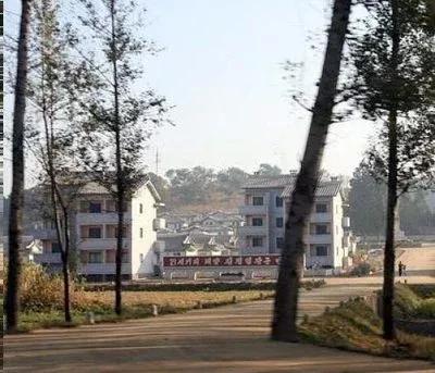 朝鲜工作的日子40集,我在朝鲜的日子4