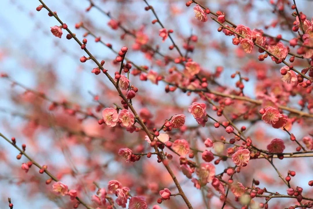 最新杭州西湖风景区攻略,杭州西湖52路环线景点