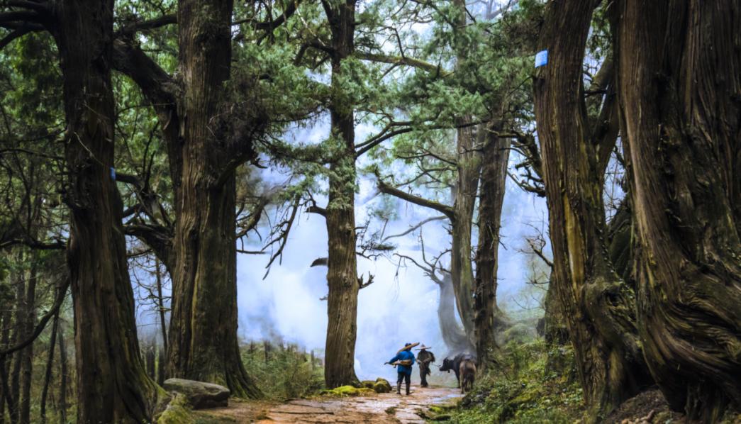 五一广元周边一日游,广元旅游3-4天攻略最佳线路