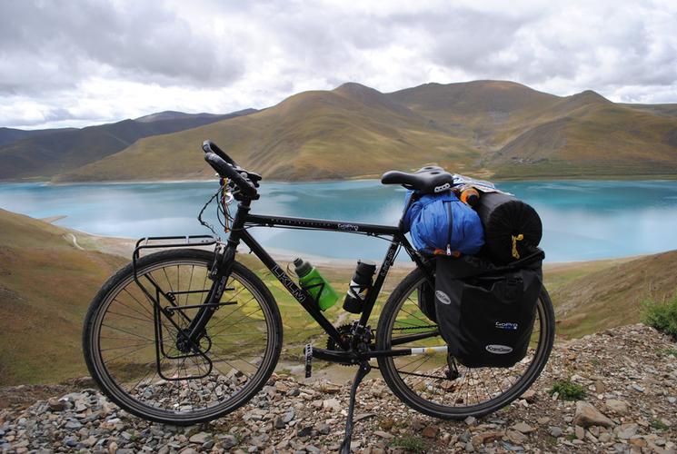 宠物去世很难过,宠物离世我们应该如何面对