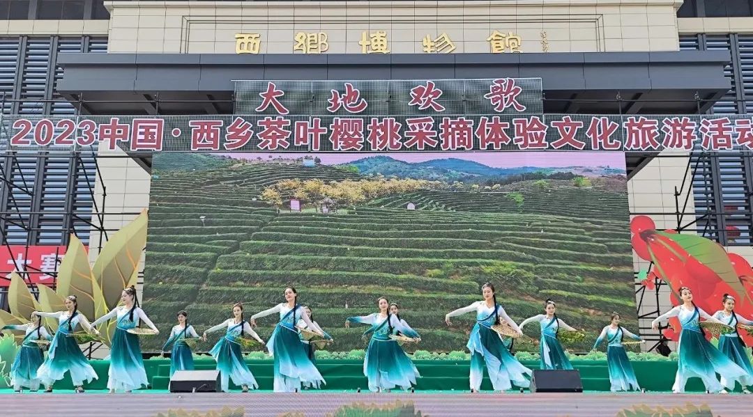 西乡县茶叶镇樱桃采摘,陕西汉中哪里可以摘樱桃