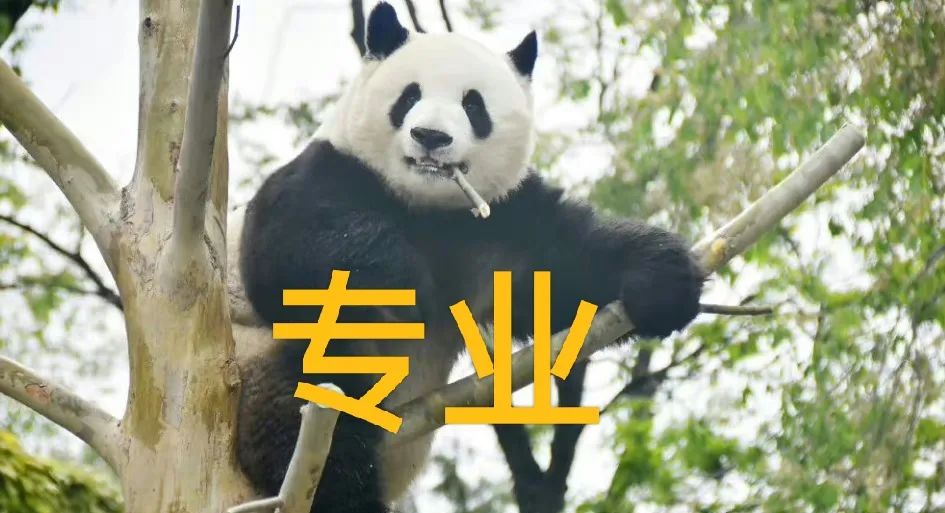 前方高能要注意回避吗,前方高能小技巧