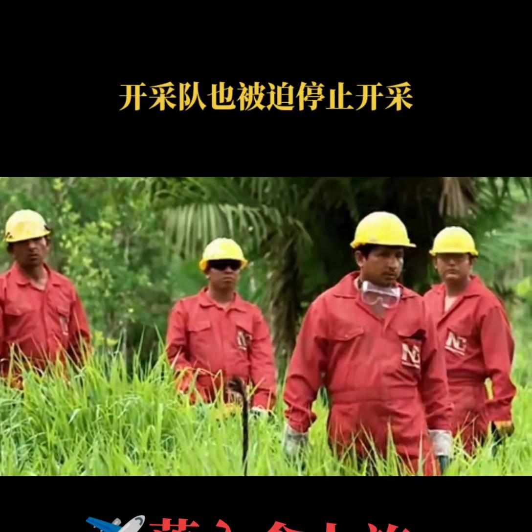 dou+小助手官方,dou+小助手流量包