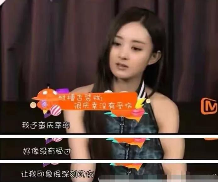 赵丽颖入股几家公司一年赚多少,赵丽颖拥有的公司都有哪些