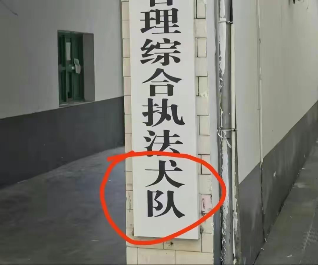 官方回应执法大队变执法犬队,执法大队变执法犬队原视频