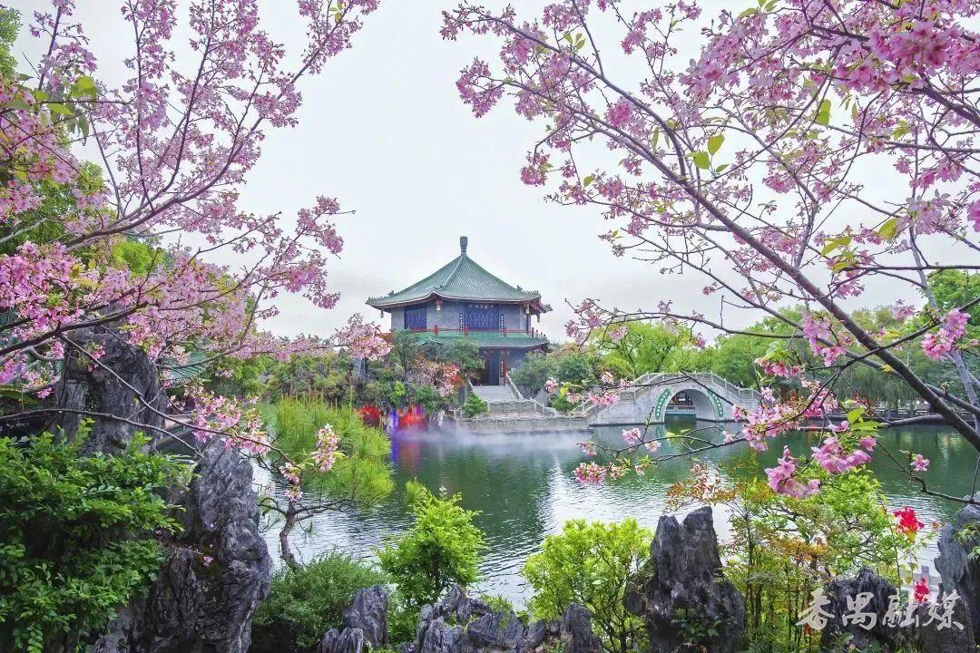 三八节免门票的景区,3月8日妇女节免门票景区