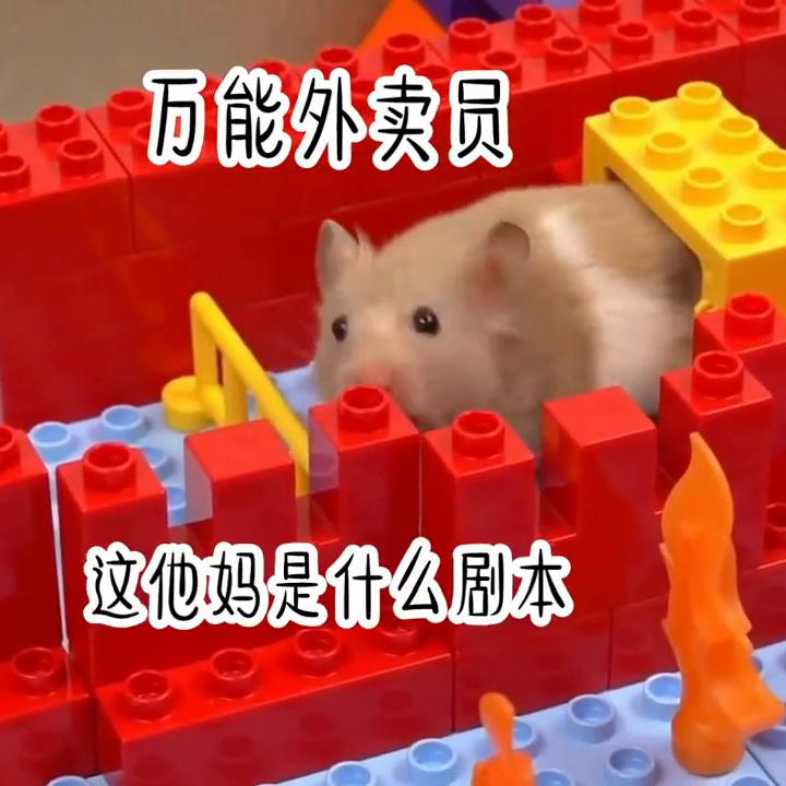 点赞评论关注精彩不断,关注点赞每日分享热门小说