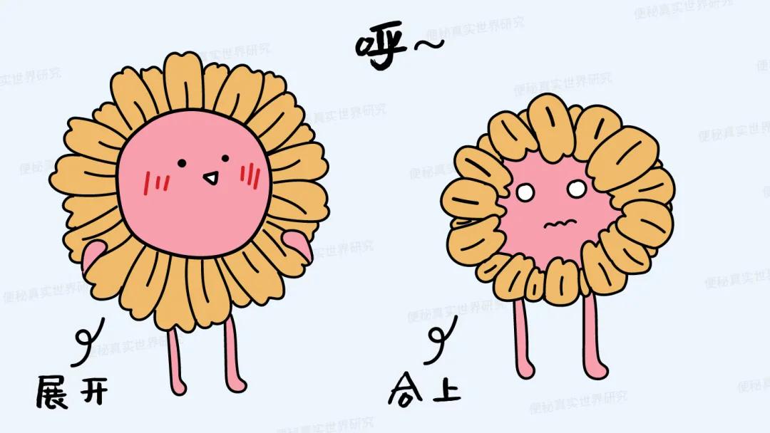 吃完饭做什么动作能缓解便秘,每天5分钟治便秘方法