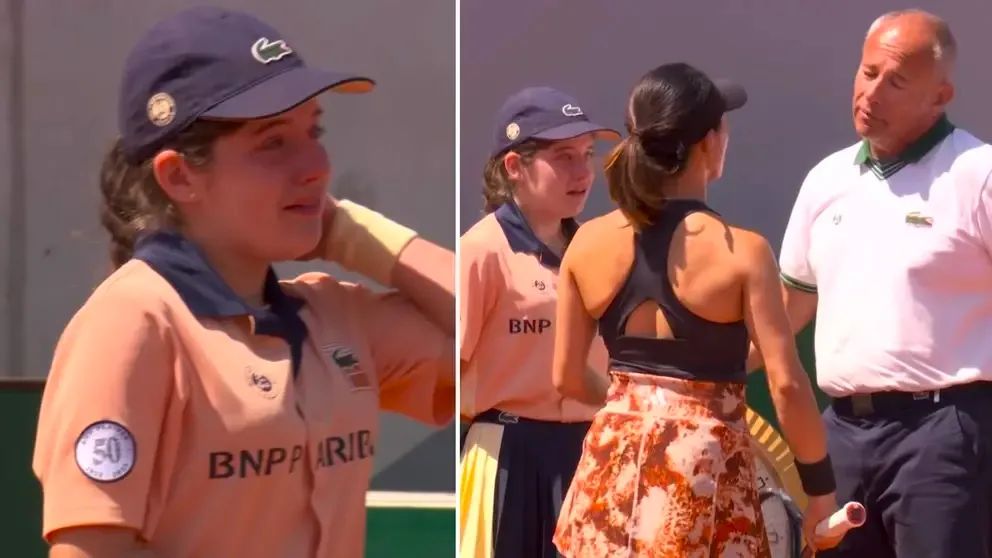 法网最新案件消息,法网的真实事件