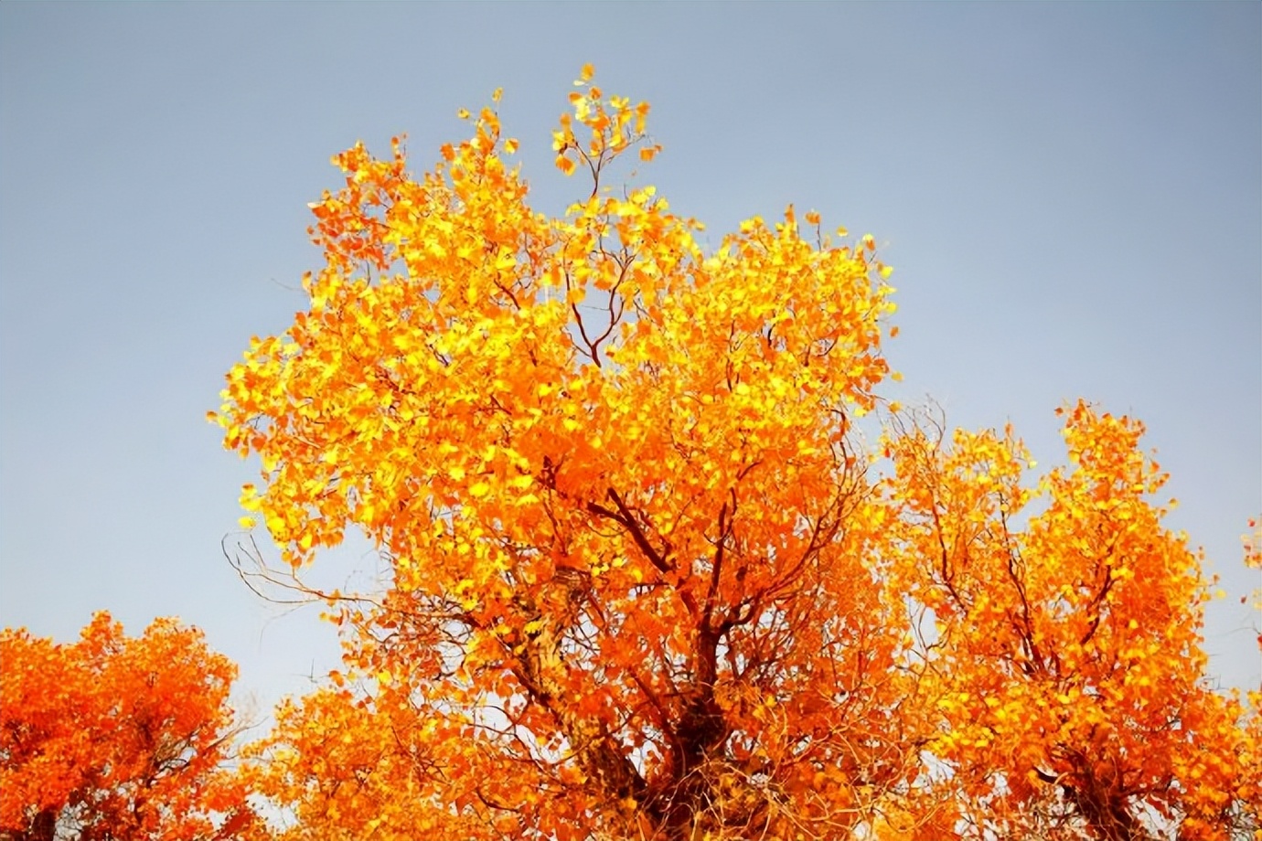 环游新疆15天,环游南疆8天攻略