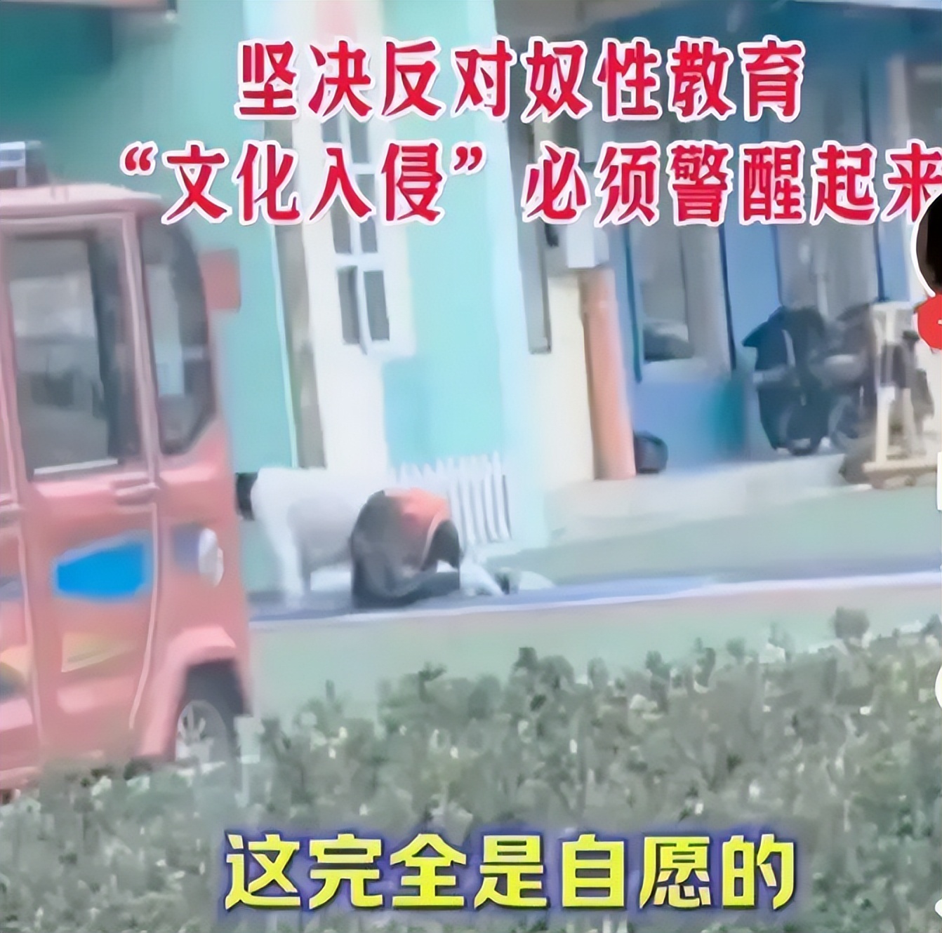 幼儿园爬行观察评价,幼儿园爬行方法