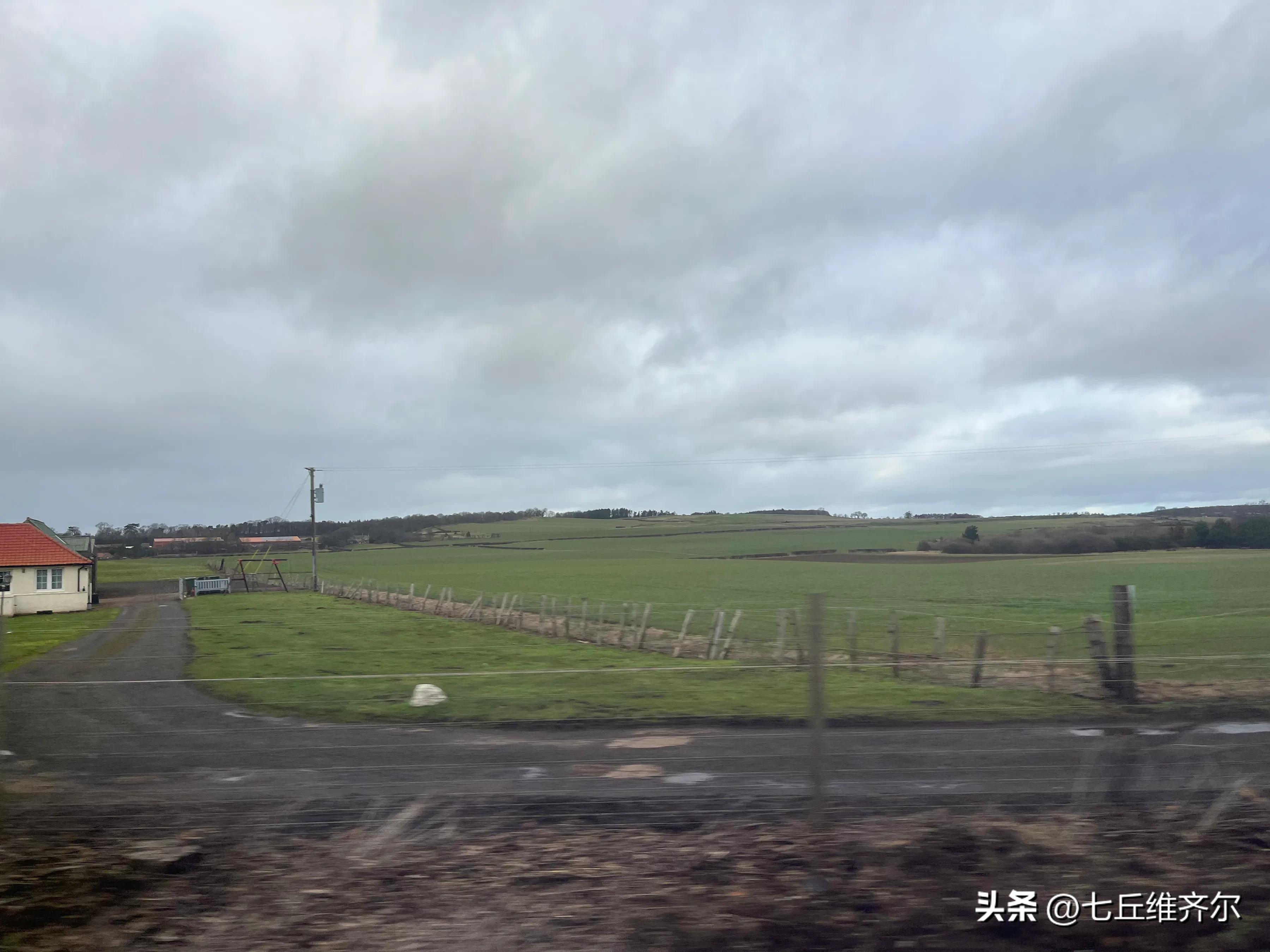 水肥草美牛羊壮上联,牛羊满圈的上联下联