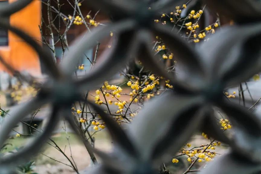 腾龙28-75使用体会,腾龙28-200旅行