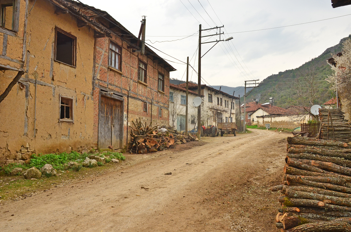 未来农村七大变化,农村未来的四大惊人变化
