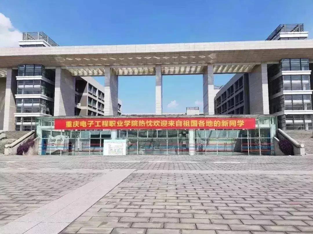 大学生创业卖手抓饼年收入千万,卖手抓饼年入百万