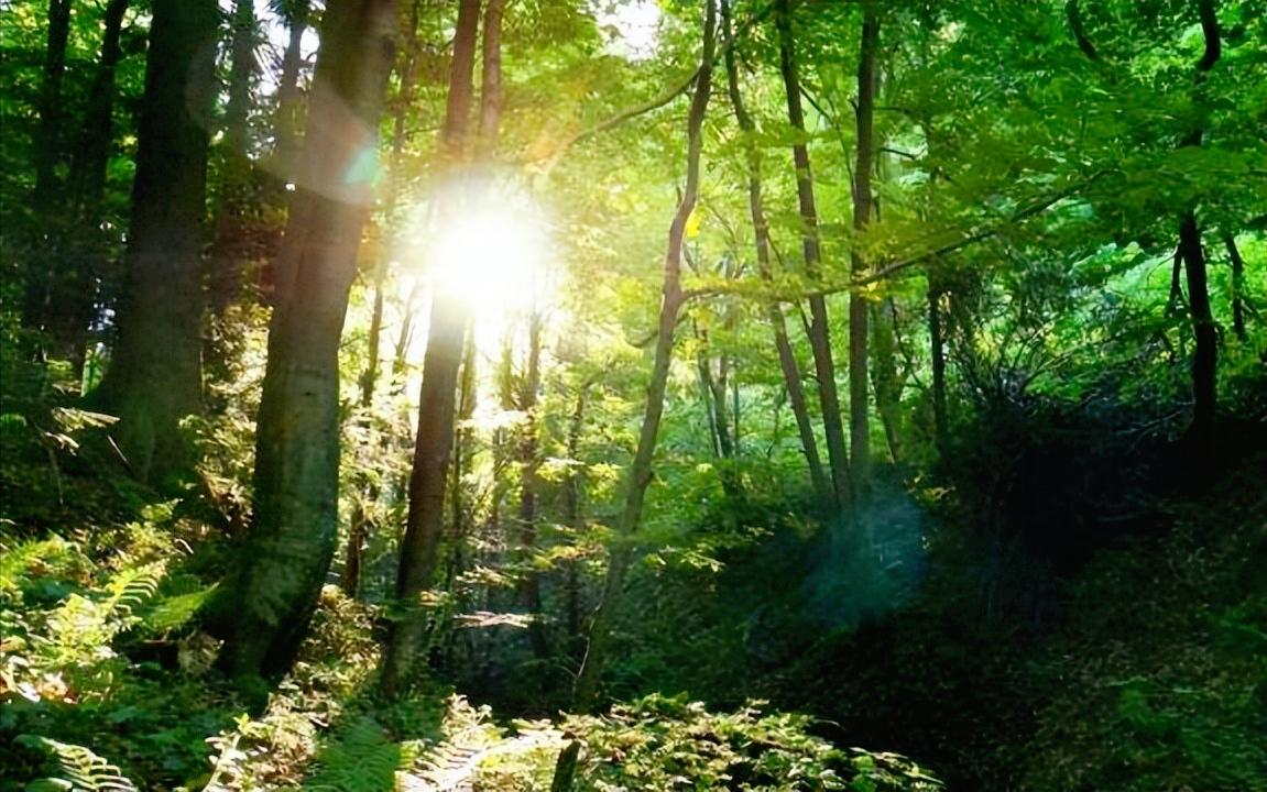 浮躁的时代读书怎么样,浮躁的年代诗歌