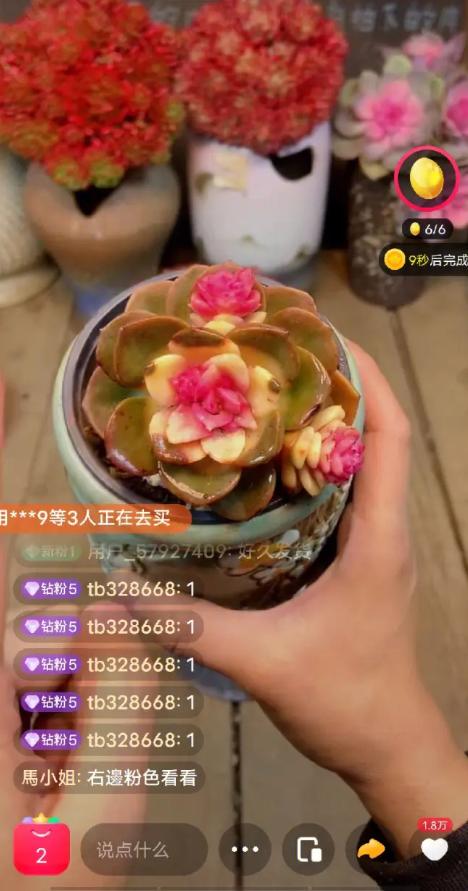 最近直播卖花的怎么那么多,直播间现直播卖花