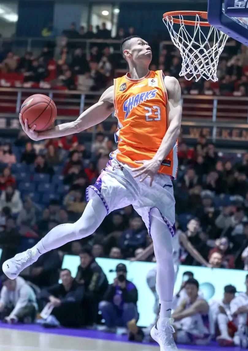 cba裁判是否职业化,用制度管人管事管钱