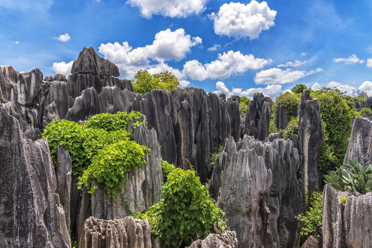 去云南昆明旅游攻略必去景点,云南的昆明旅游攻略必去景点顺序