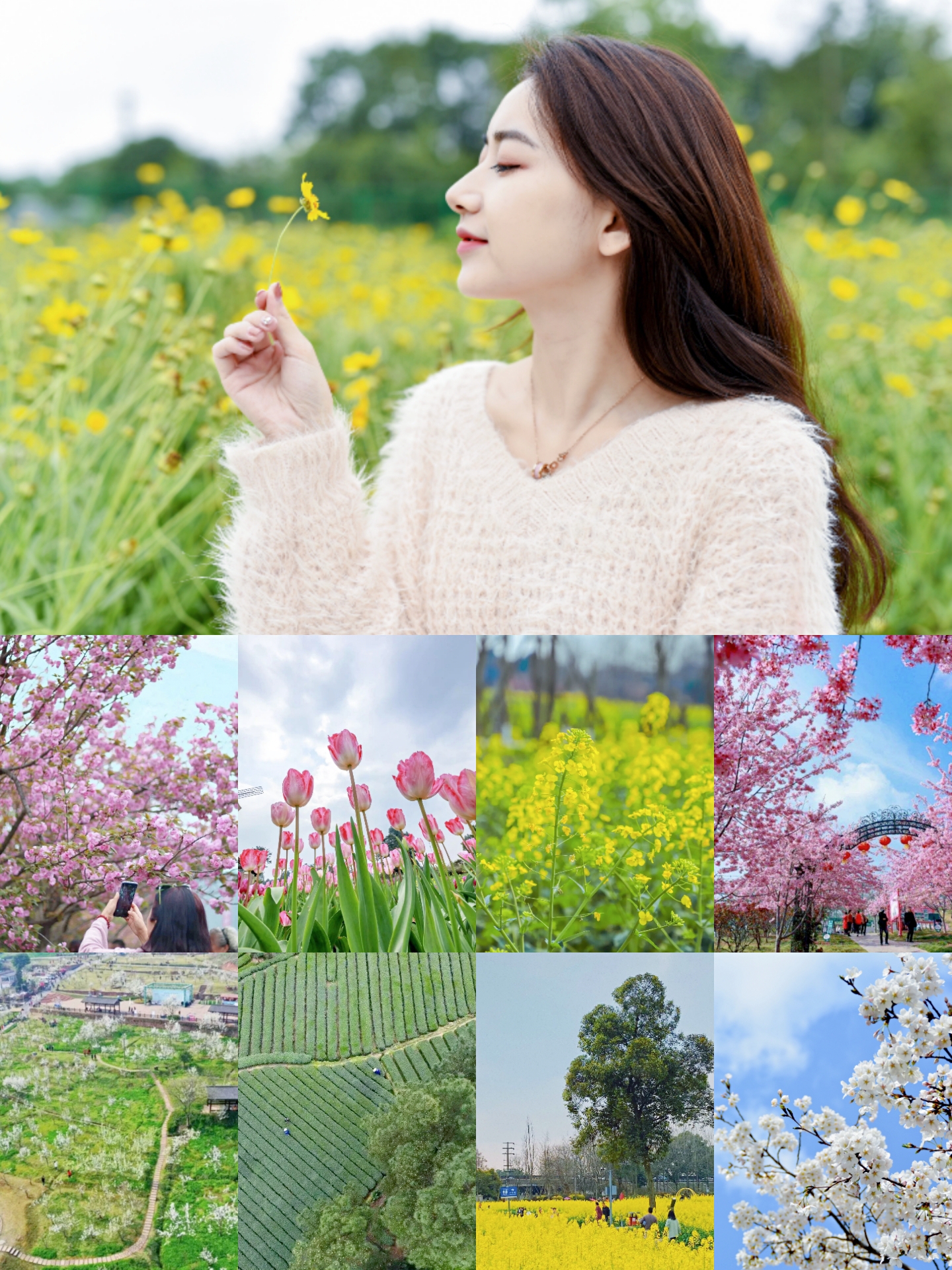 成都春天超美的地方,成都现在风景最美的地方