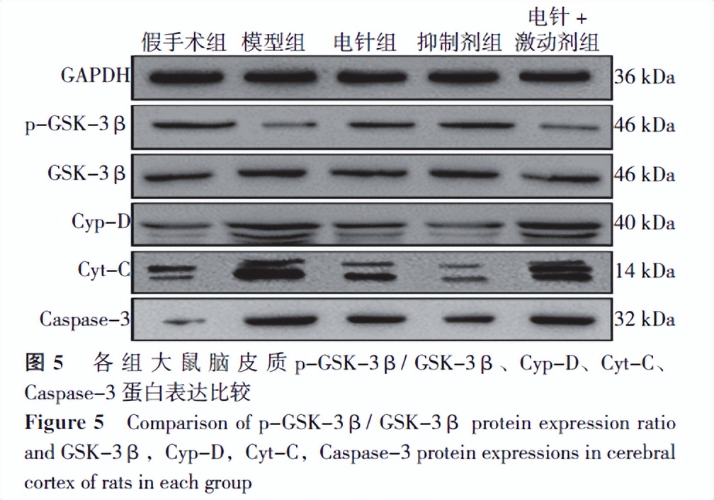 通督调神,通督调神盘龙针