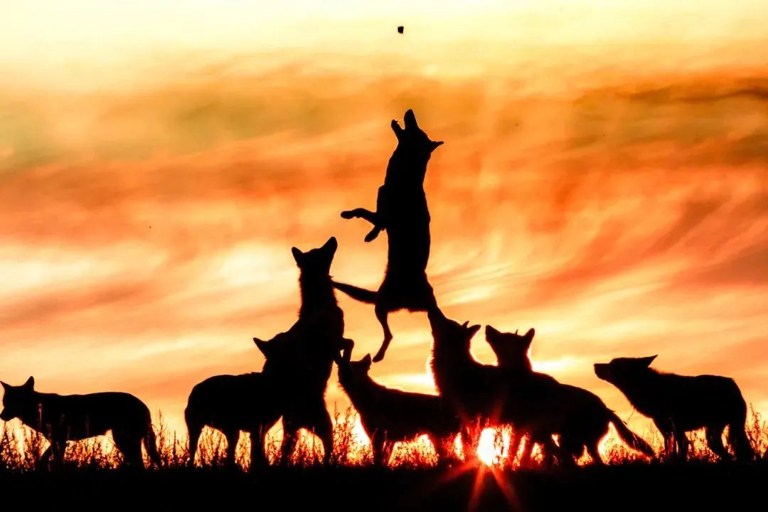 来打卡！锡林郭勒十大网红打卡地