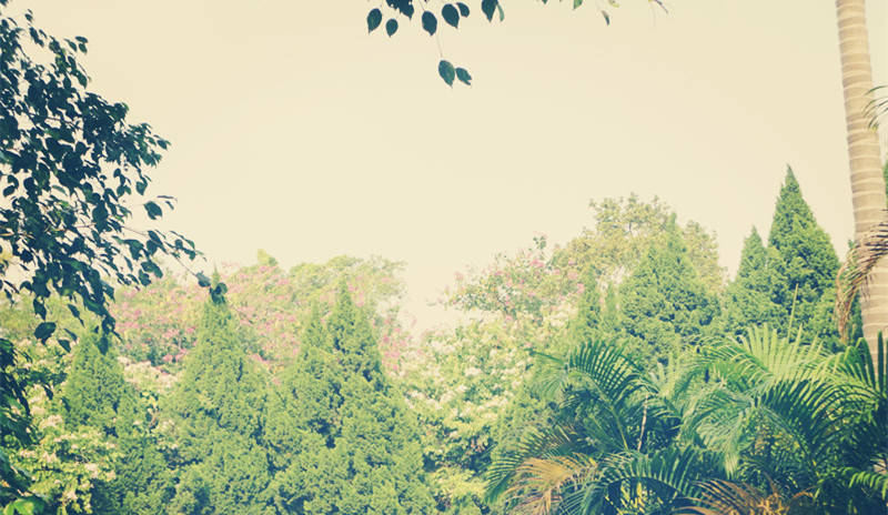 理科专业就业率排名前十,理科女生就业率最高的十大专业