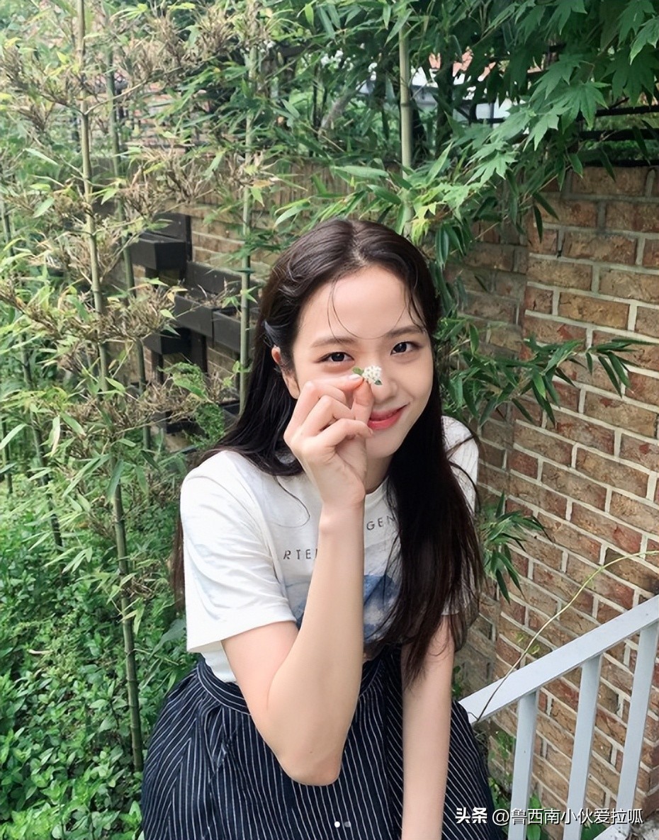 blackpink的粉丝必知,blackpink成员必知道的