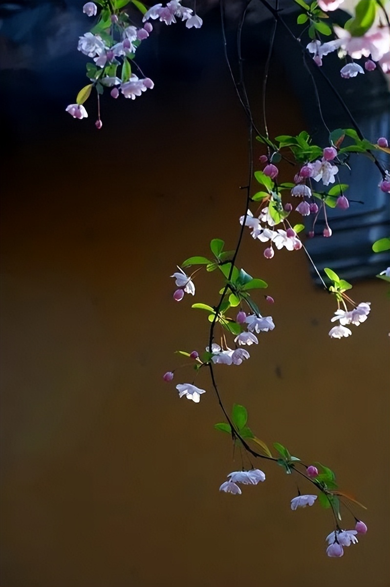 初春最美的十首诗词,春日美景最经典诗词