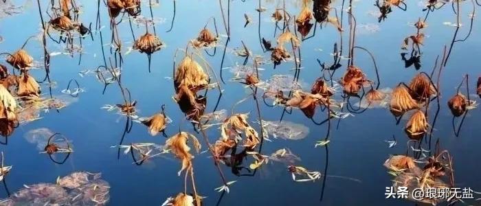 描写秋天的古诗词100首大全,战国秦汉魏晋南北朝时期的诗词