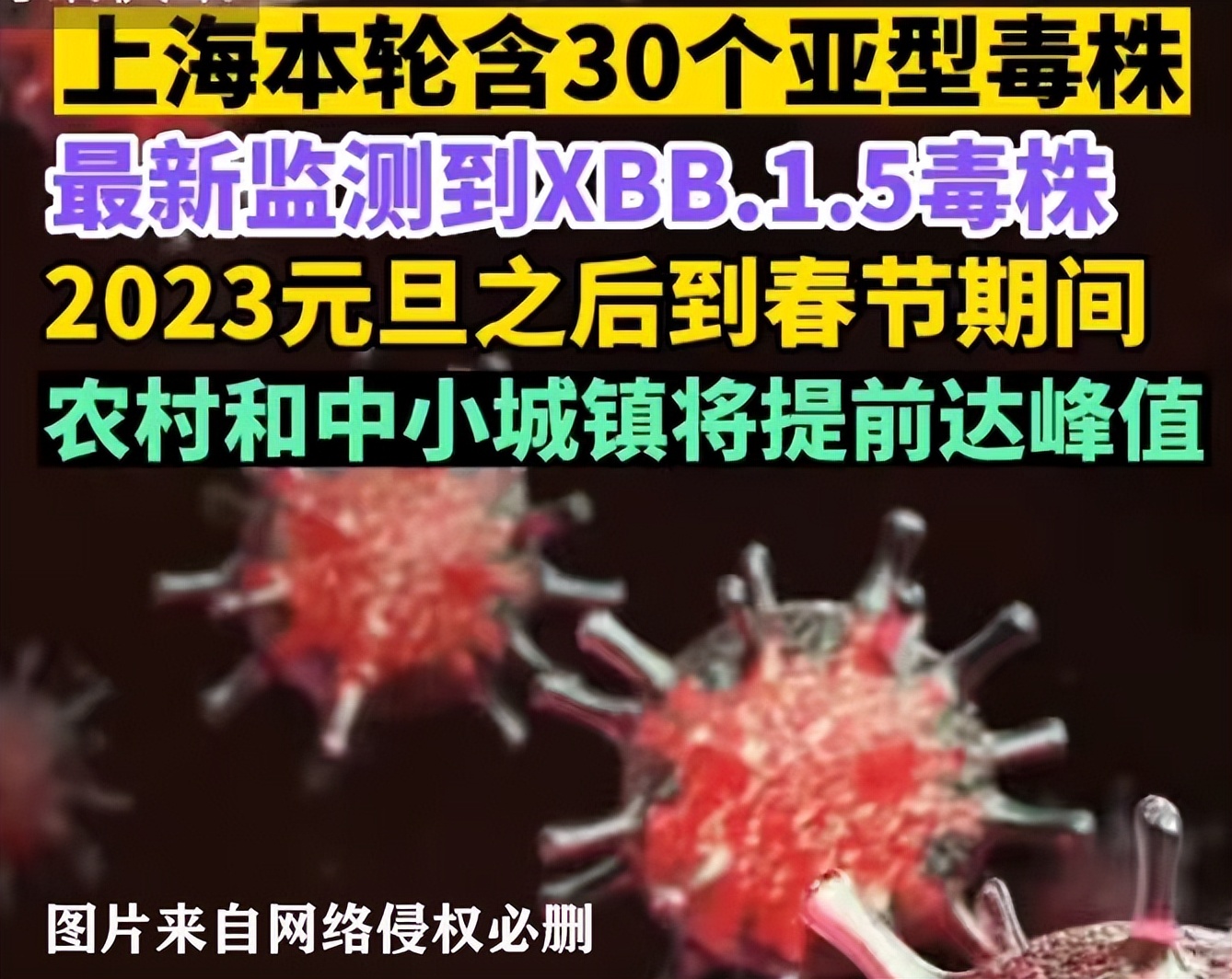 最新美国毒王消息,美国毒王最新结果