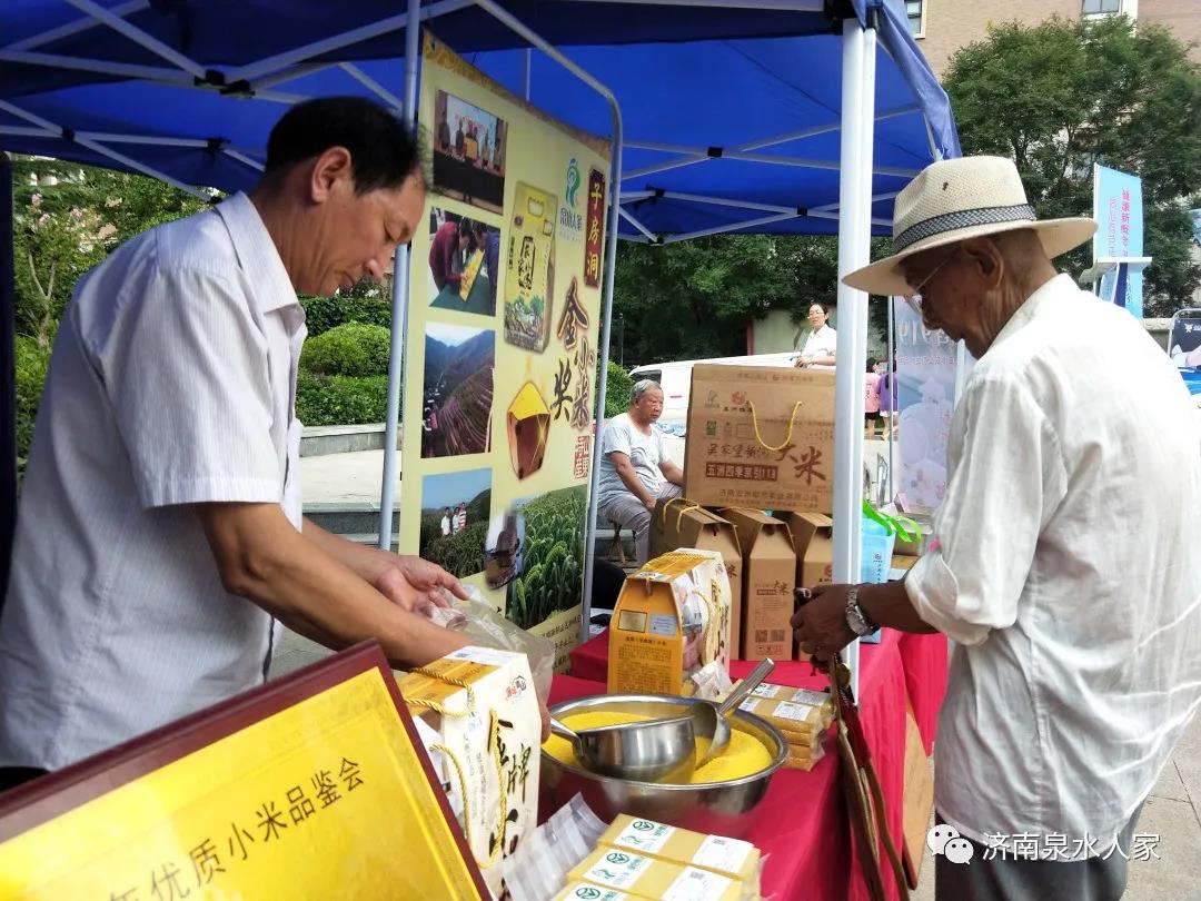 泉水人家区域公共品牌设计,泉水人家二期怎么样