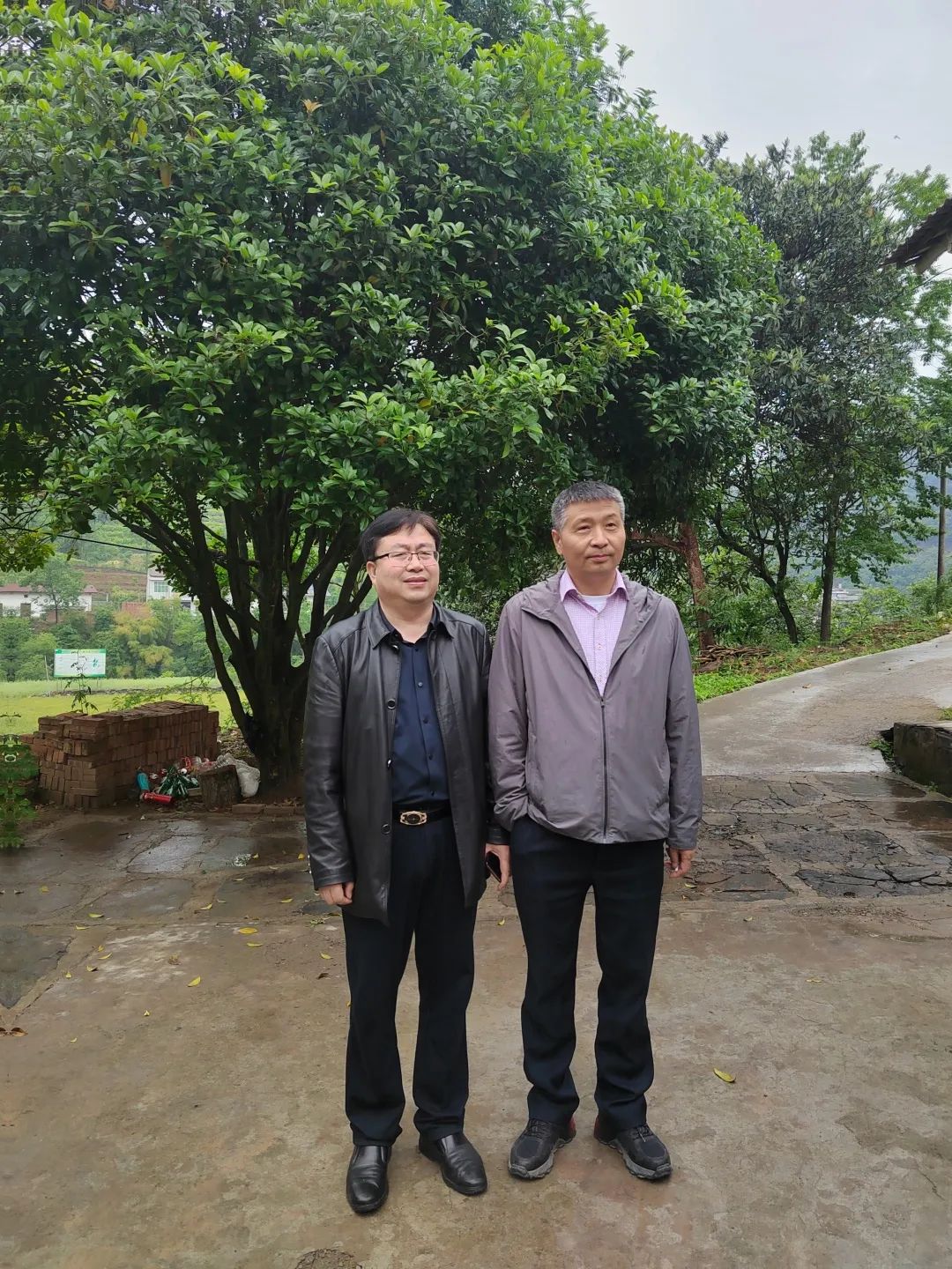 相聚仍是青年——记情系四中群友聚