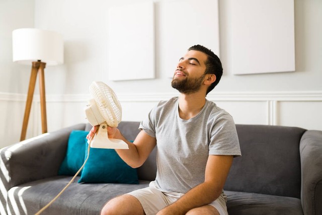 家里蚊子太多灭蚊子最有效的方法,蚊子怎么消灭的小妙招