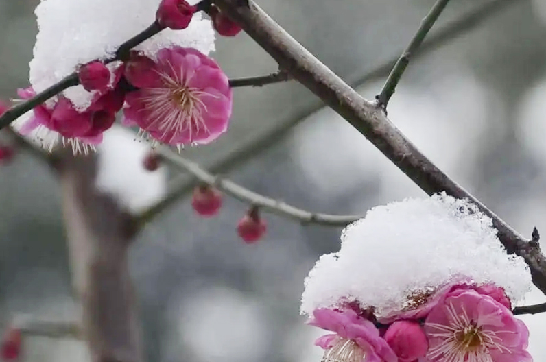 2023年闰2月和往年有什么区别,为什么讲2023年是双春年